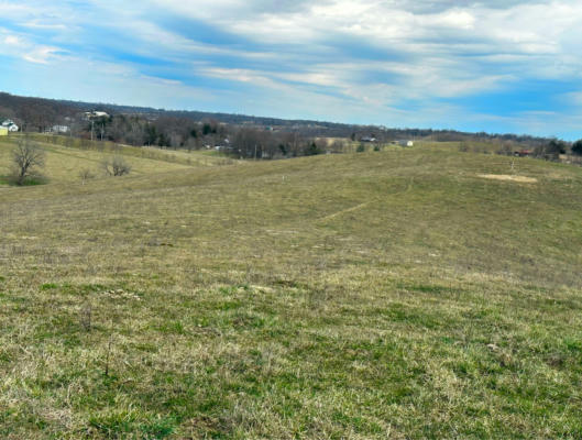 251 FINNELL PIKE, CYNTHIANA, KY 41031, photo 2 of 16