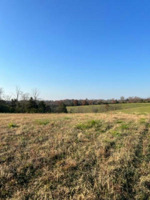 LOT 2 HWY 491, DEMOSSVILLE, KY 41033, photo 3 of 14