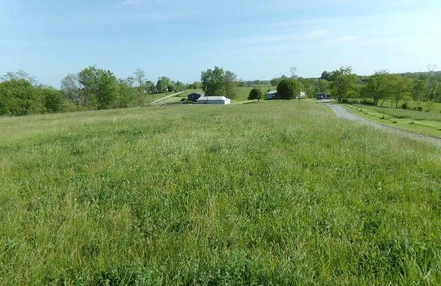 #2 HWY 325 & R SHARON RD, WORTHVILLE, KY 41098, photo 1 of 8