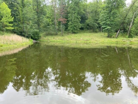 2197 BROOKSVILLE CHATHAM RD, BROOKSVILLE, KY 41004 - Image 1