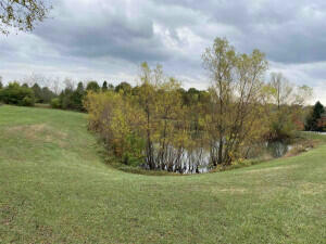 1 ACRE DAVIS LN & GRAND NATIONAL BLVD, WALTON, KY 41094, photo 3 of 5