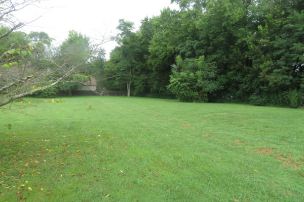 LOTS 10-13 MADISON STREET, VANCEBURG, KY 41179 - Image 1