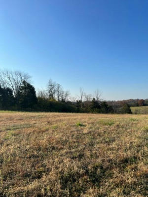 LOT 2 HWY 491, DEMOSSVILLE, KY 41033, photo 4 of 14