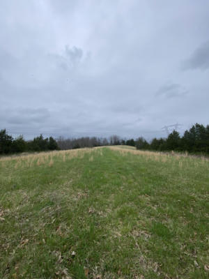 26.6 AC STONE SCHOOL HOUSE ROAD, WILLIAMSTOWN, KY 41097, photo 5 of 14