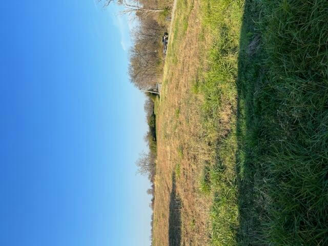 LOT 1 HWY 491, DEMOSSVILLE, KY 41033, photo 1 of 14
