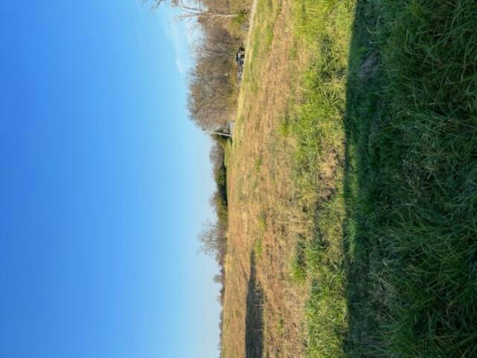 LOT 1 HWY 491, DEMOSSVILLE, KY 41033 - Image 1