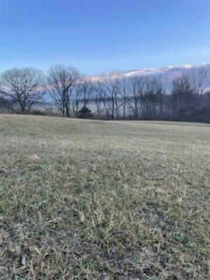 1800 35 TRACT 9 HWY, SPARTA, KY 41083, photo 3 of 4