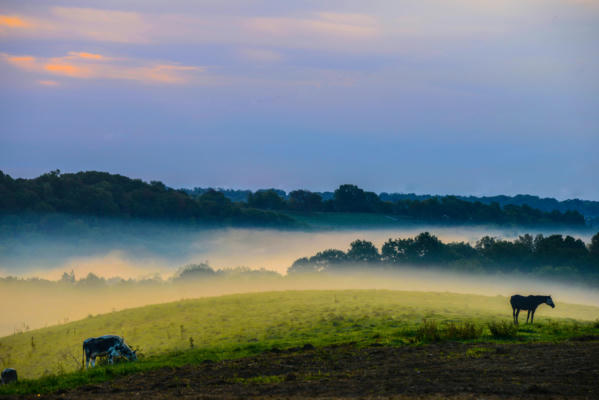 14093 MADISON PIKE, MORNING VIEW, KY 41063 - Image 1