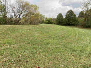 1 ACRE DAVIS LN & GRAND NATIONAL BLVD, WALTON, KY 41094, photo 4 of 5