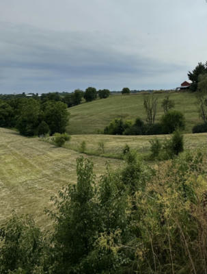 0 BANNISTER PIKE, DRY RIDGE, KY 41035, photo 3 of 46