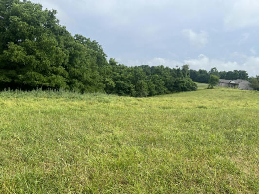 13391 ROSEHAWK DR, MORNING VIEW, KY 41063 - Image 1